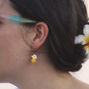 Limones (1)