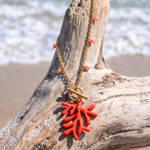 Collar Coral